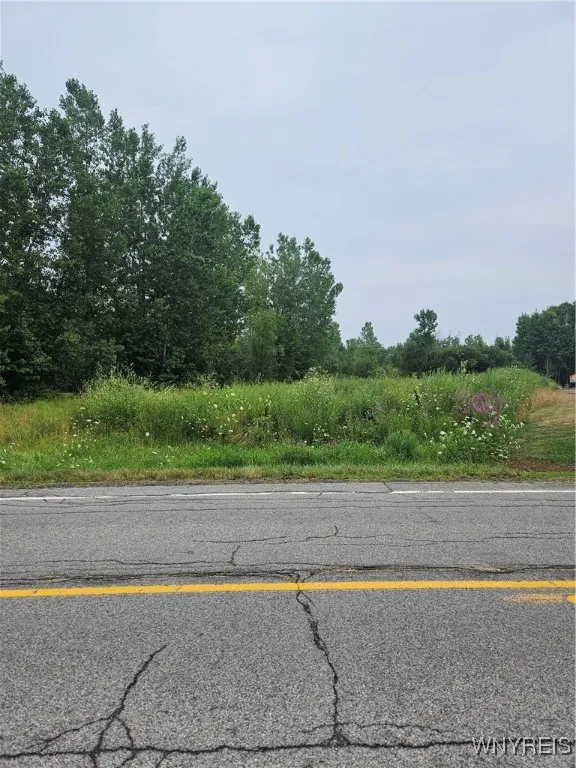 9317 Tonawanda Crk Road South, Clarence, New York, Clarence, New York 14031, ,Land,For Sale,9317 Tonawanda Crk Road South, Clarence, New York ,B1627881