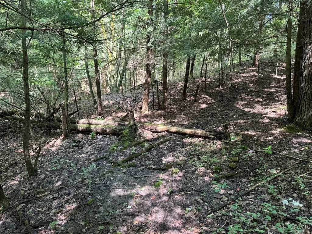 Jollytown Road, Hinsdale, New York 14743, Hinsdale, New York 14743, 1 Bedroom Bedrooms, ,Land,Closed,Jollytown Road, Hinsdale, New York 14743,0,S1627936