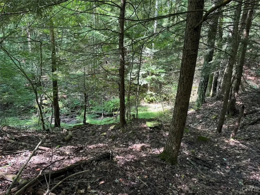 Jollytown Road, Hinsdale, New York 14743, Hinsdale, New York 14743, 1 Bedroom Bedrooms, ,Land,Closed,Jollytown Road, Hinsdale, New York 14743,0,S1627936