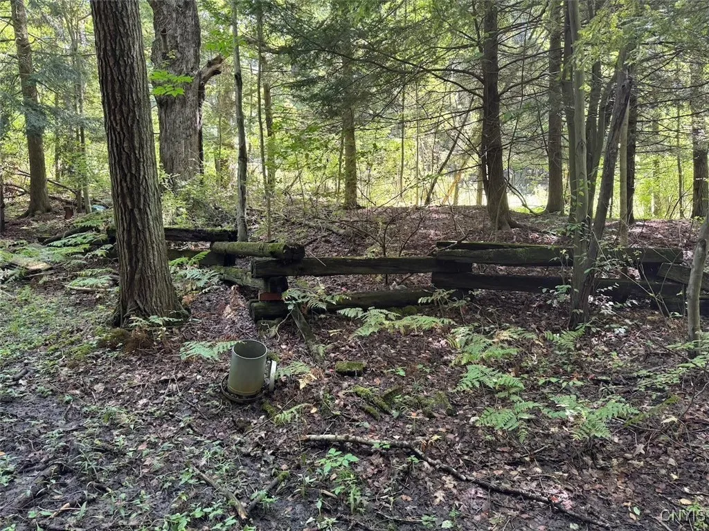 Jollytown Road, Hinsdale, New York 14743, Hinsdale, New York 14743, 1 Bedroom Bedrooms, ,Land,Closed,Jollytown Road, Hinsdale, New York 14743,0,S1627936