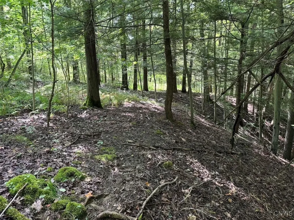 Jollytown Road, Hinsdale, New York 14743, Hinsdale, New York 14743, 1 Bedroom Bedrooms, ,Land,Closed,Jollytown Road, Hinsdale, New York 14743,0,S1627936