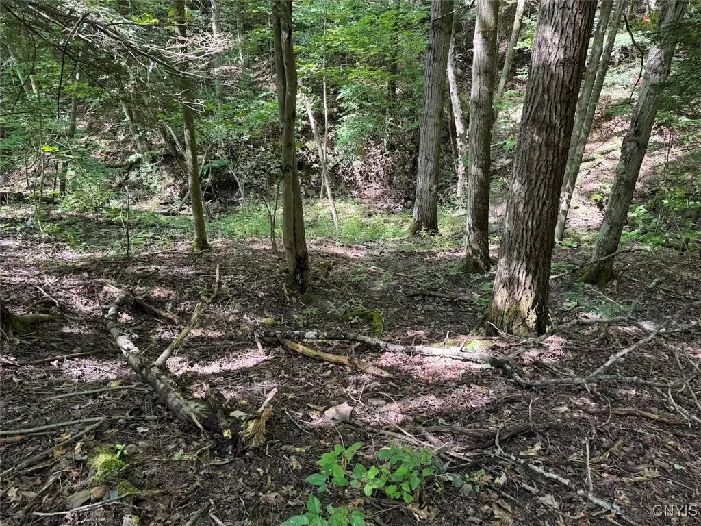 Jollytown Road, Hinsdale, New York 14743, Hinsdale, New York 14743, 1 Bedroom Bedrooms, ,Land,Closed,Jollytown Road, Hinsdale, New York 14743,0,S1627936