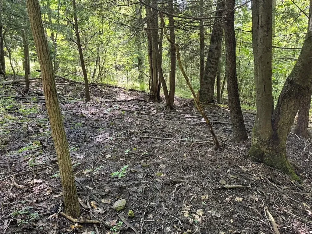 Jollytown Road, Hinsdale, New York 14743, Hinsdale, New York 14743, 1 Bedroom Bedrooms, ,Land,Closed,Jollytown Road, Hinsdale, New York 14743,0,S1627936