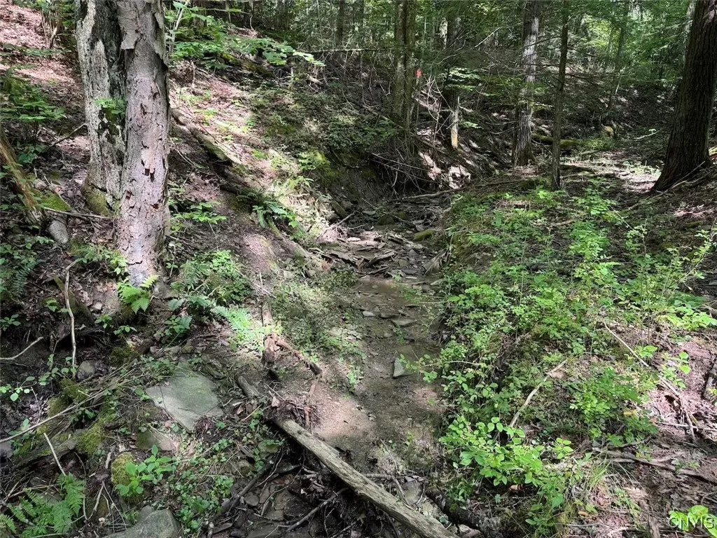 Jollytown Road, Hinsdale, New York 14743, Hinsdale, New York 14743, 1 Bedroom Bedrooms, ,Land,Closed,Jollytown Road, Hinsdale, New York 14743,0,S1627936