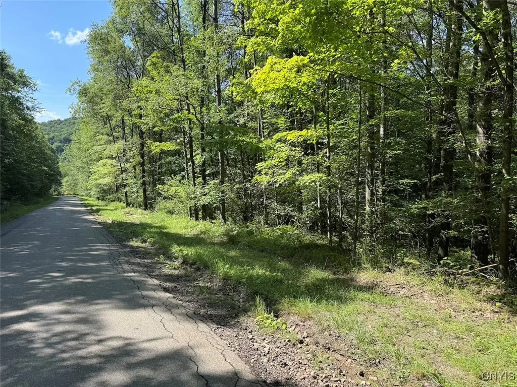 Jollytown Road, Hinsdale, New York 14743, Hinsdale, New York 14743, 1 Bedroom Bedrooms, ,Land,Closed,Jollytown Road, Hinsdale, New York 14743,0,S1627936