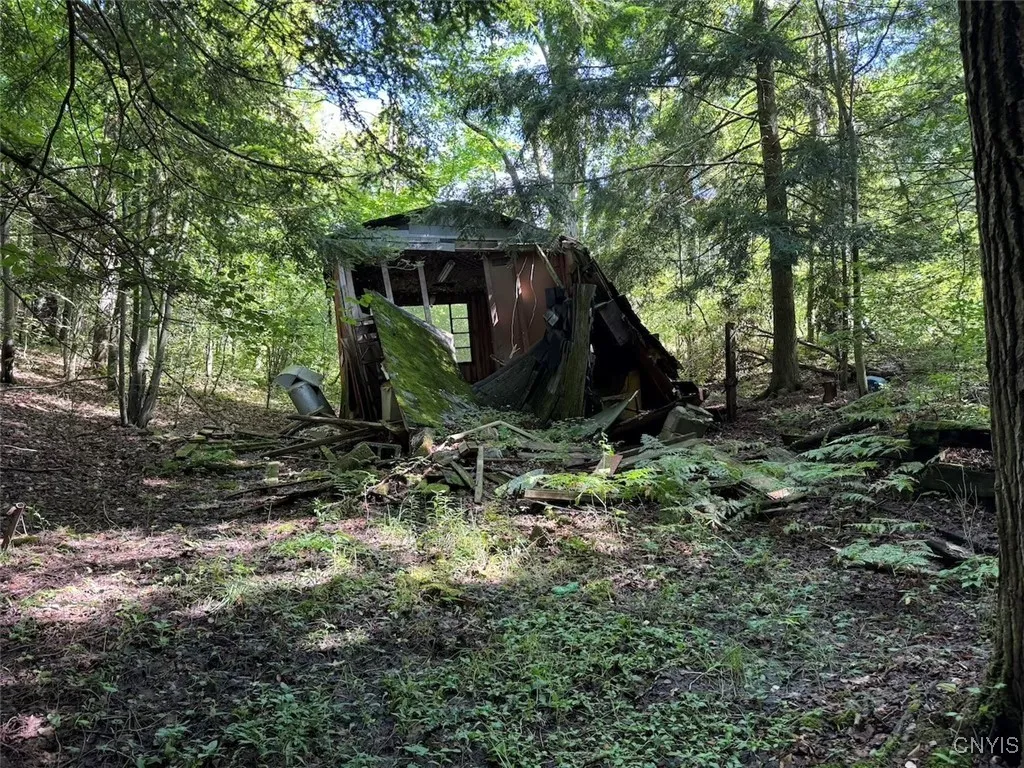 Jollytown Road, Hinsdale, New York 14743, Hinsdale, New York 14743, 1 Bedroom Bedrooms, ,Land,Closed,Jollytown Road, Hinsdale, New York 14743,0,S1627936