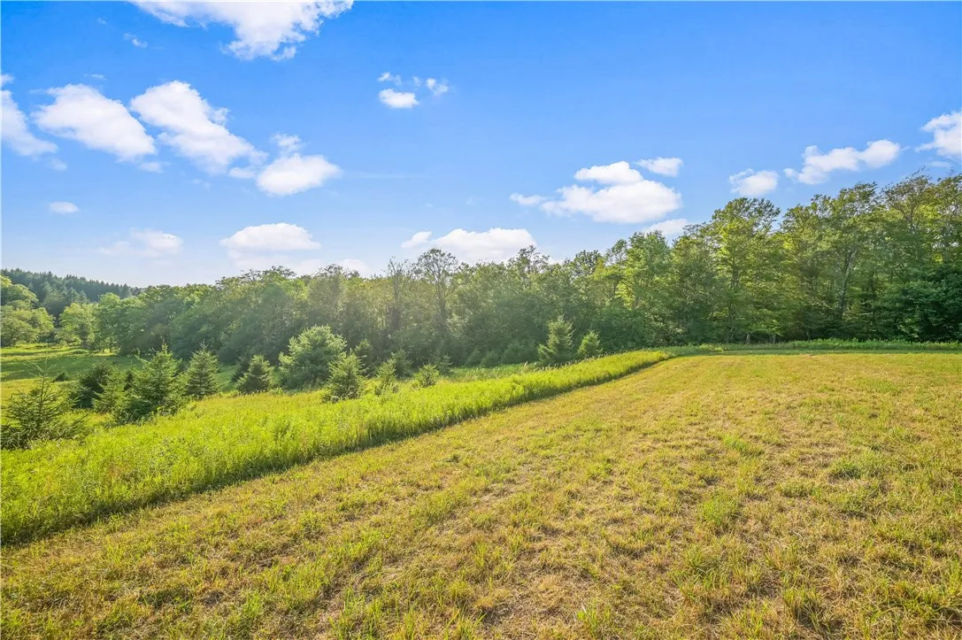 153 Stone Ridge Drive, Jefferson, New York 12036, Jefferson, New York 12036, ,Land,For Sale,153 Stone Ridge Drive, Jefferson, New York 12036,0,R1627116