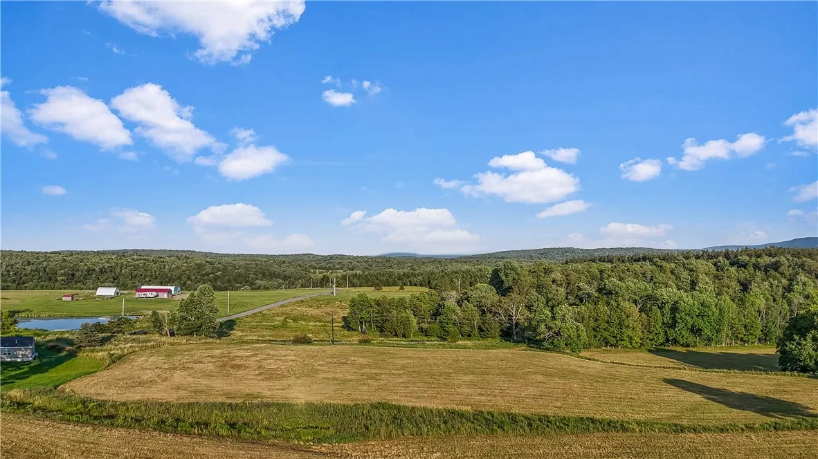 153 Stone Ridge Drive, Jefferson, New York 12036, Jefferson, New York 12036, ,Land,For Sale,153 Stone Ridge Drive, Jefferson, New York 12036,0,R1627116