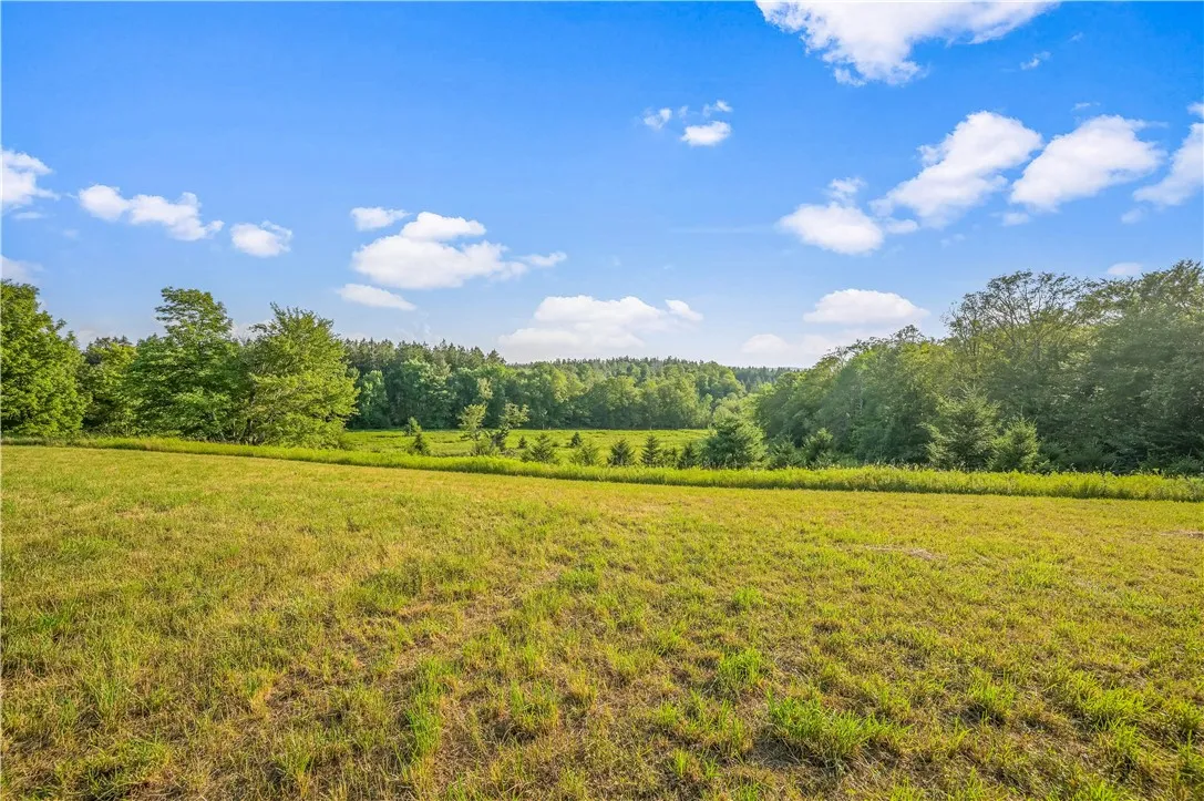 153 Stone Ridge Drive, Jefferson, New York 12036, Jefferson, New York 12036, ,Land,For Sale,153 Stone Ridge Drive, Jefferson, New York 12036,0,R1627116