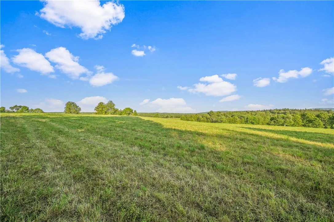 153 Stone Ridge Drive, Jefferson, New York 12036, Jefferson, New York 12036, ,Land,For Sale,153 Stone Ridge Drive, Jefferson, New York 12036,0,R1627116