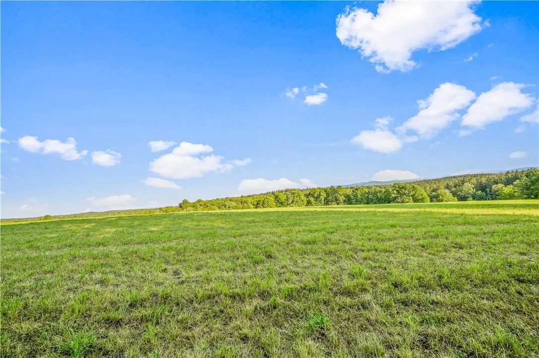 153 Stone Ridge Drive, Jefferson, New York 12036, Jefferson, New York 12036, ,Land,For Sale,153 Stone Ridge Drive, Jefferson, New York 12036,0,R1627116