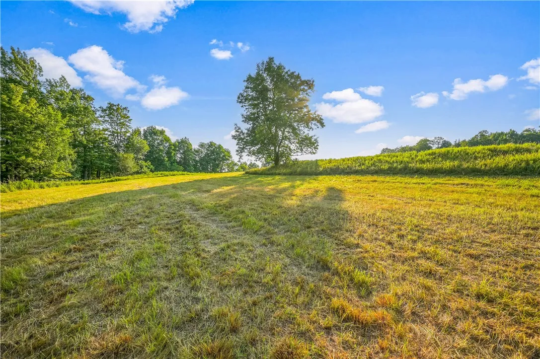153 Stone Ridge Drive, Jefferson, New York 12036, Jefferson, New York 12036, ,Land,For Sale,153 Stone Ridge Drive, Jefferson, New York 12036,0,R1627116