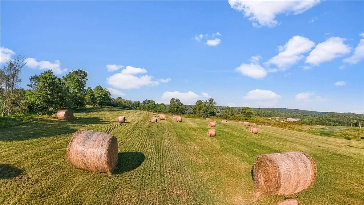 153 Stone Ridge Drive, Jefferson, New York 12036, Jefferson, New York 12036, ,Land,For Sale,153 Stone Ridge Drive, Jefferson, New York 12036,0,R1627116