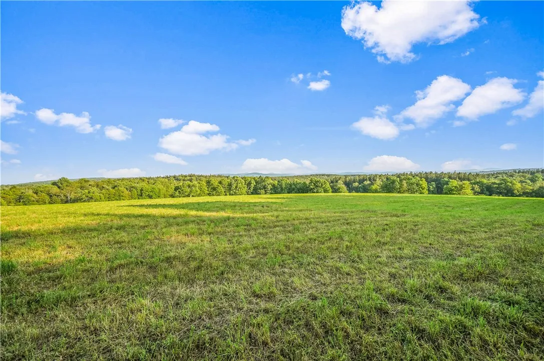 153 Stone Ridge Drive, Jefferson, New York 12036, Jefferson, New York 12036, ,Land,For Sale,153 Stone Ridge Drive, Jefferson, New York 12036,0,R1627116