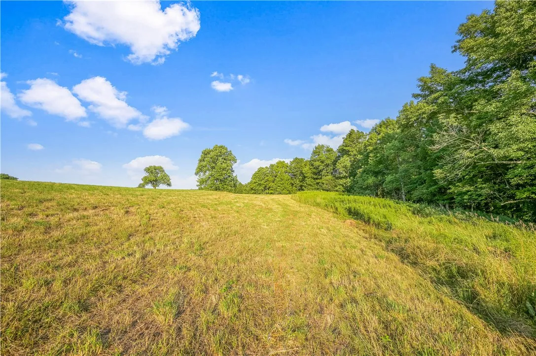 153 Stone Ridge Drive, Jefferson, New York 12036, Jefferson, New York 12036, ,Land,For Sale,153 Stone Ridge Drive, Jefferson, New York 12036,0,R1627116