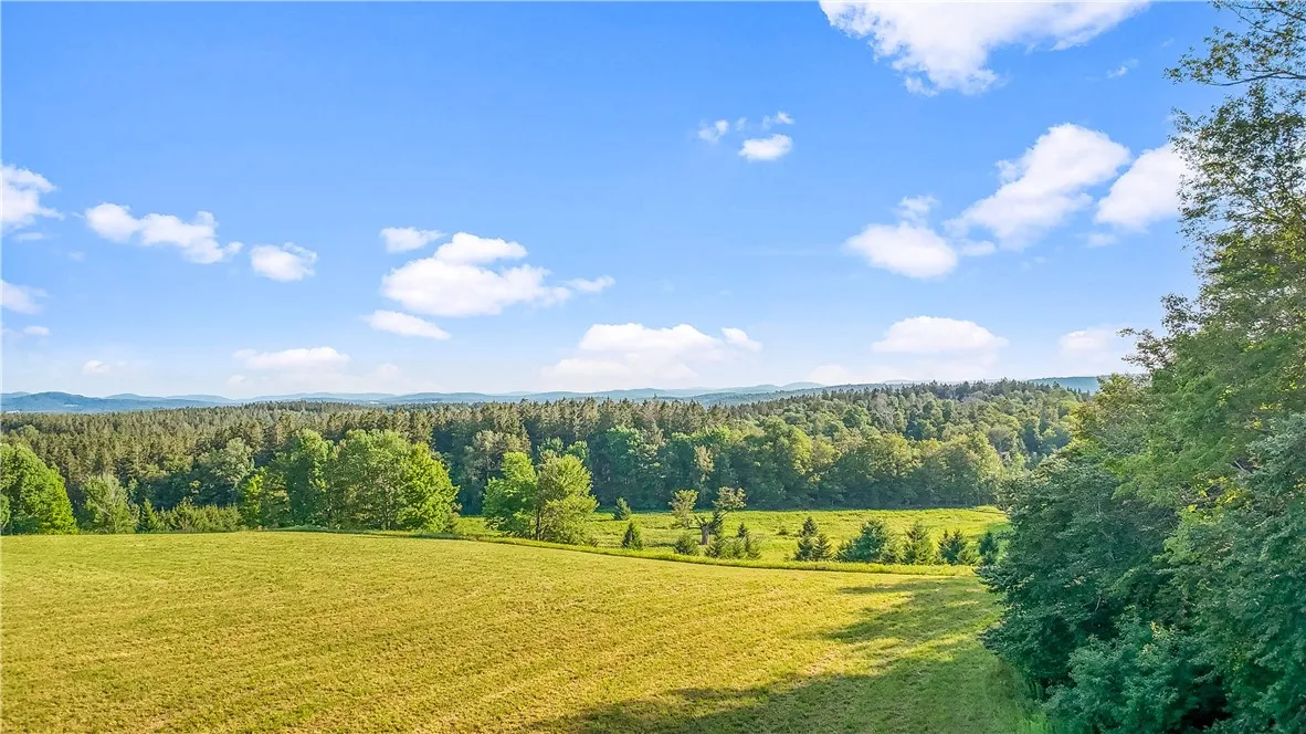 153 Stone Ridge Drive, Jefferson, New York 12036, Jefferson, New York 12036, ,Land,For Sale,153 Stone Ridge Drive, Jefferson, New York 12036,0,R1627116