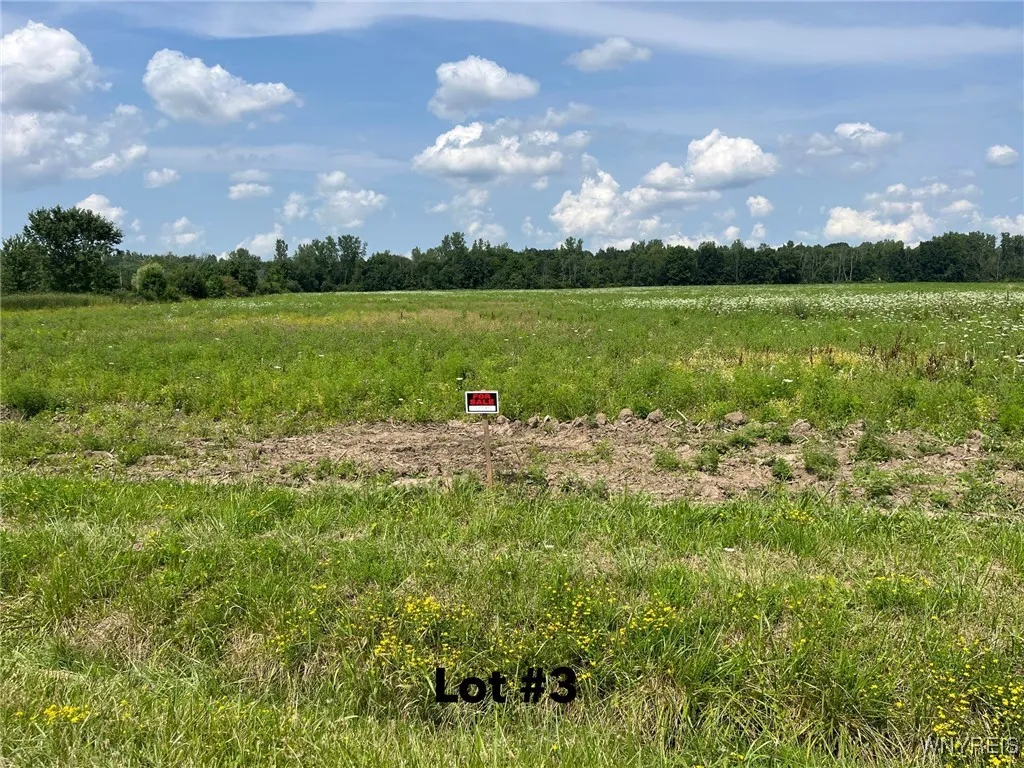 V/l Miland Road, Newstead, New York 14001, Newstead, New York 14001, ,Land,For Sale,V/l Miland Road, Newstead, New York 14001,B1627943
