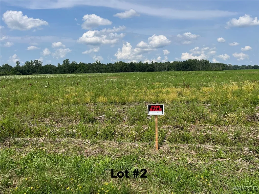 V/l Miland Road, Newstead, New York 14001, Newstead, New York 14001, ,Land,For Sale,V/l Miland Road, Newstead, New York 14001,B1627943