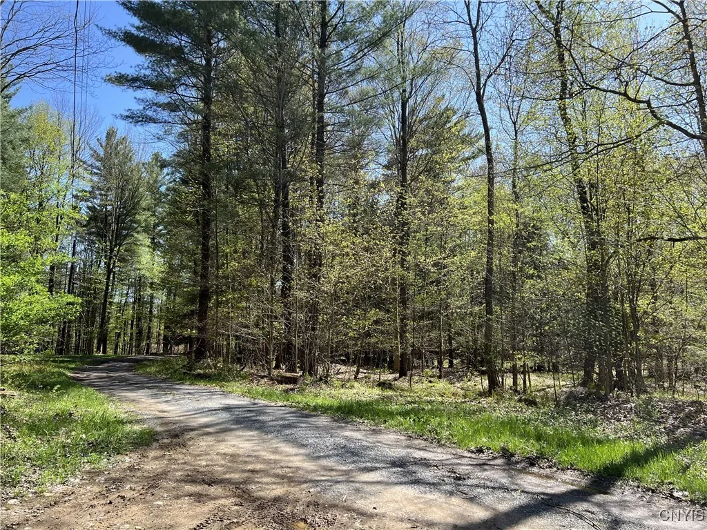 Hemlock Drive, Watson, New York 13367, Watson, New York 13367, ,Land,Closed,Hemlock Drive, Watson, New York 13367,0,S1628125