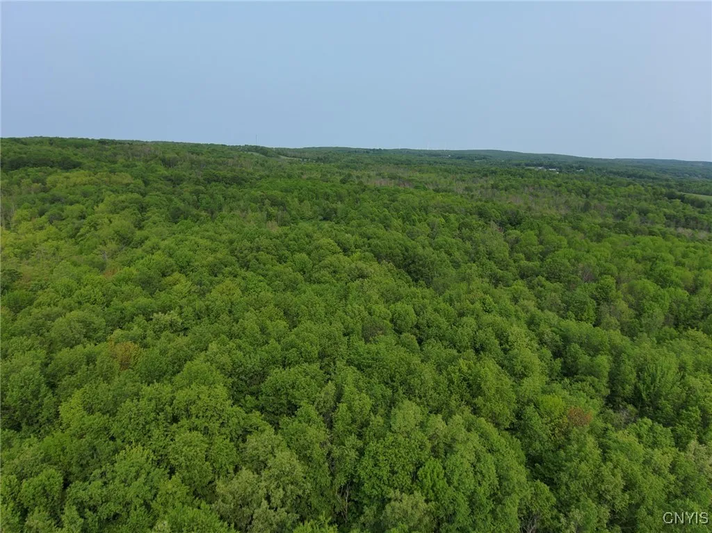 000 Lynch Road, Norway, New York 13416, Norway, New York 13416, ,Land,Closed,000 Lynch Road, Norway, New York 13416,0,S1628278