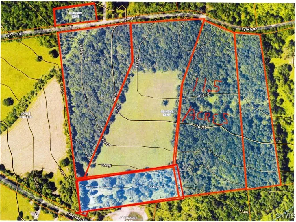 000 Lynch Road, Norway, New York 13416, Norway, New York 13416, ,Land,Closed,000 Lynch Road, Norway, New York 13416,0,S1628278