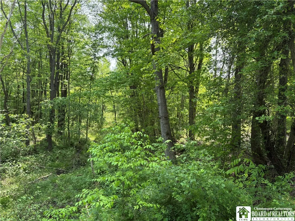 Burton Road, Busti, New York 14701, Busti, New York 14701, 2 Bedrooms Bedrooms, ,1 BathroomBathrooms,Land,For Sale,Burton Road, Busti, New York 14701,0,R1628359