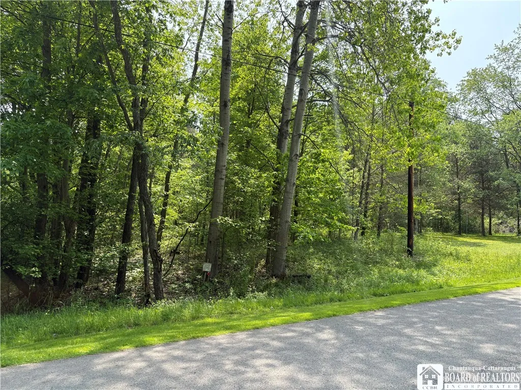 Burton Road, Busti, New York 14701, Busti, New York 14701, 2 Bedrooms Bedrooms, ,1 BathroomBathrooms,Land,For Sale,Burton Road, Busti, New York 14701,0,R1628359