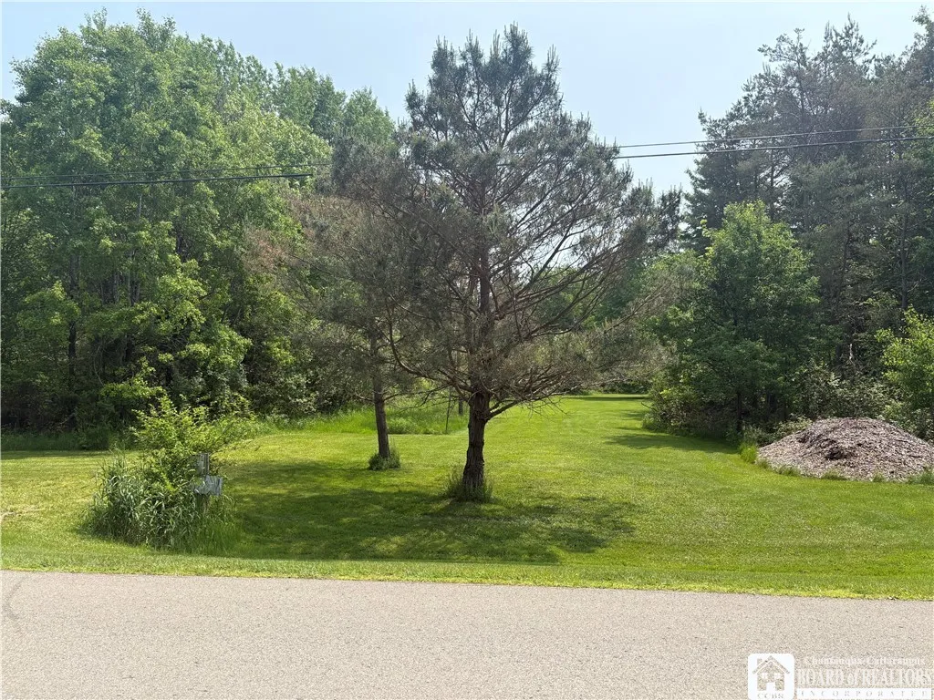 Burton Road, Busti, New York 14701, Busti, New York 14701, 2 Bedrooms Bedrooms, ,1 BathroomBathrooms,Land,For Sale,Burton Road, Busti, New York 14701,0,R1628359