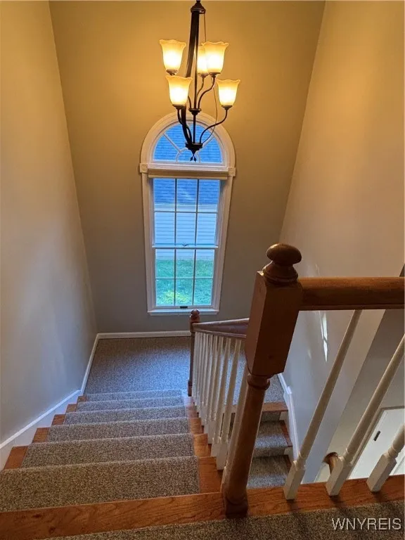 Hall/staircase