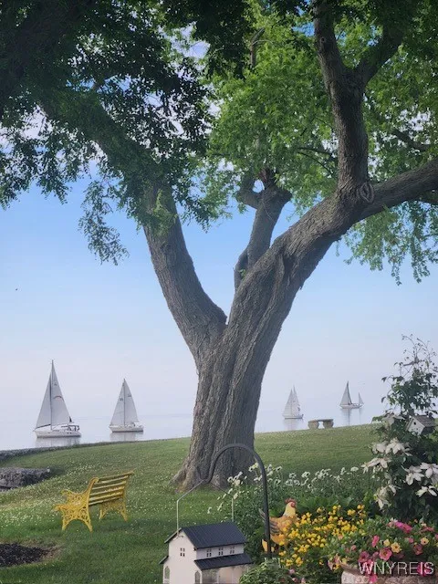 Peaceful day watching the sailboat races.