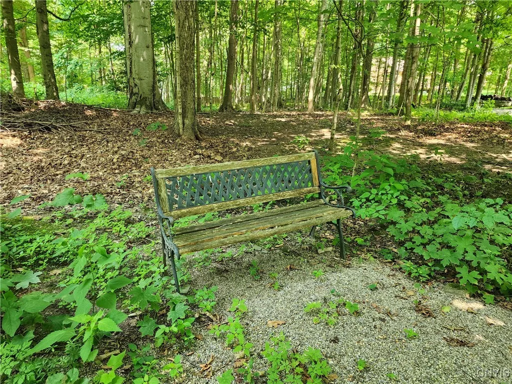 Here is another fun space with an adorable park bench. Lovely!