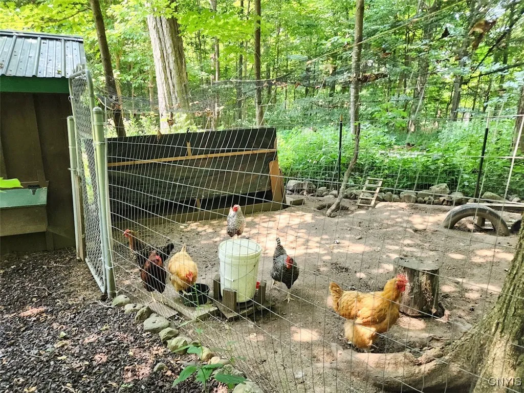 If you are not desiring chickens, this space can easily be turned back into a wonderful shed.