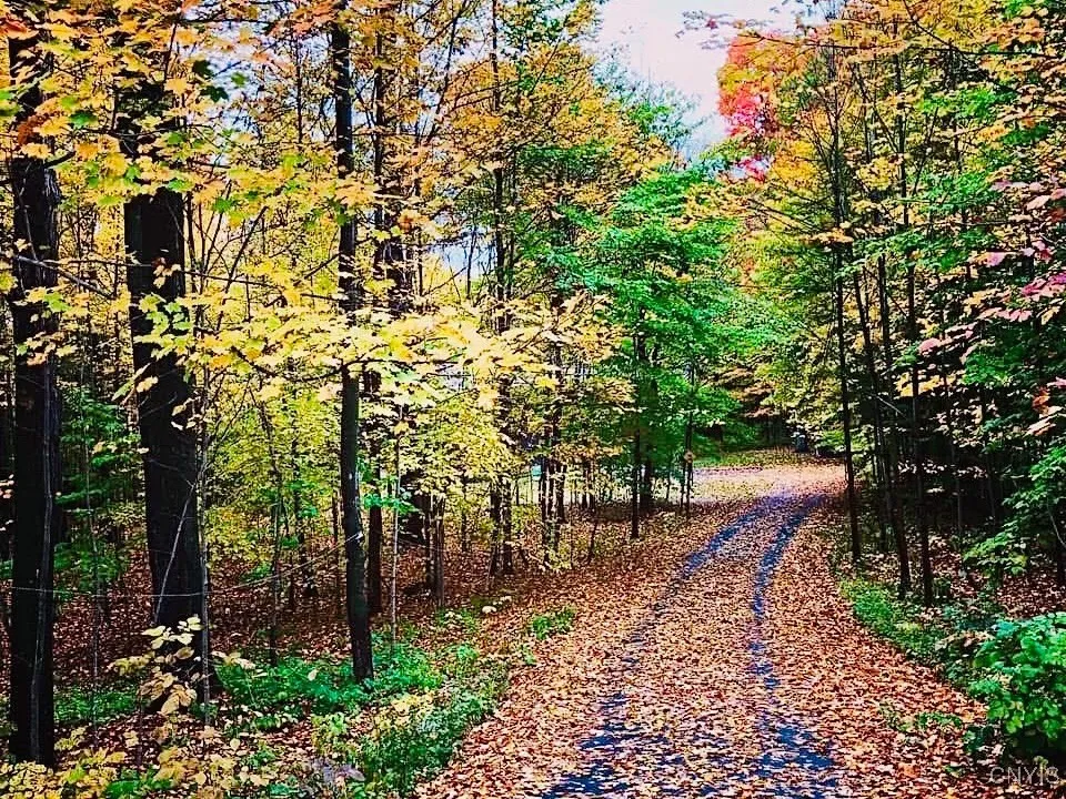 The fall colors that surround you are spectacular. No matter what the season, the views are gorgeous.