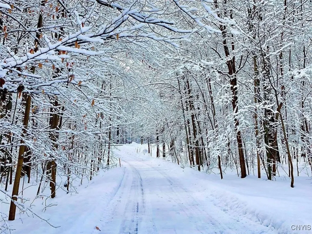 And even more magical in the winter!