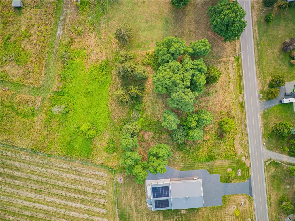 AN OVERHEAD VIEW OF THE TREED LOT