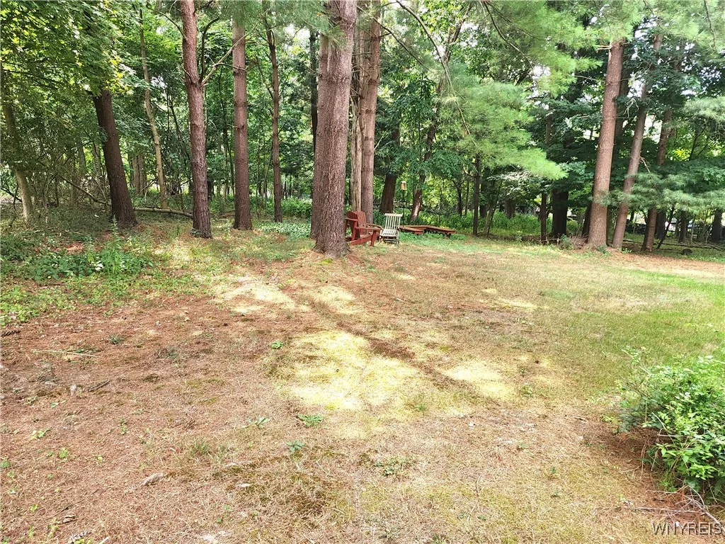 36 Braunview Way, Orchard Park, New York 14127, Orchard Park, New York 14127, 4 Bedrooms Bedrooms, 9 Rooms Rooms,2 BathroomsBathrooms,Residential Lease,For Rent,36 Braunview Way, Orchard Park, New York 14127,B1620777