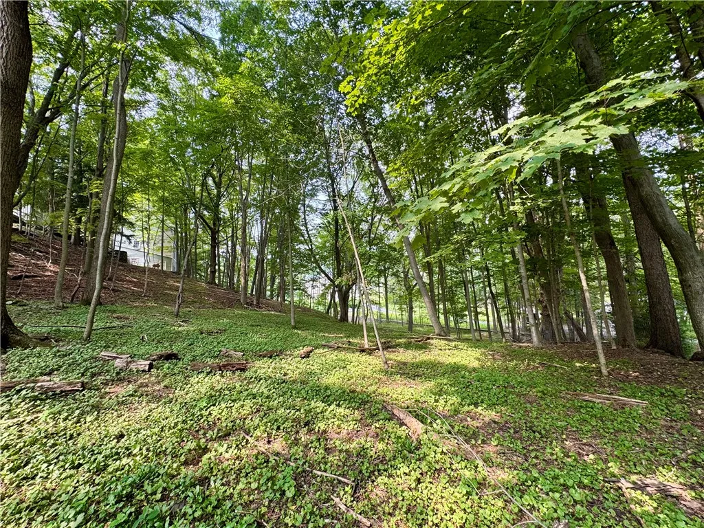 82 West Street, Oneonta, New York 13820, Oneonta, New York 13820, 4 Bedrooms Bedrooms, 10 Rooms Rooms,2 BathroomsBathrooms,Residential,For Sale,82 West Street, Oneonta, New York 13820,0,R1628387