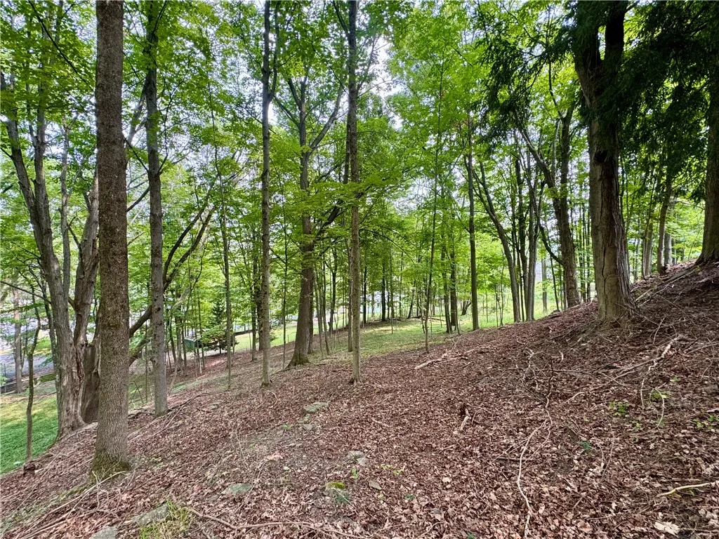 82 West Street, Oneonta, New York 13820, Oneonta, New York 13820, 4 Bedrooms Bedrooms, 10 Rooms Rooms,2 BathroomsBathrooms,Residential,For Sale,82 West Street, Oneonta, New York 13820,0,R1628387