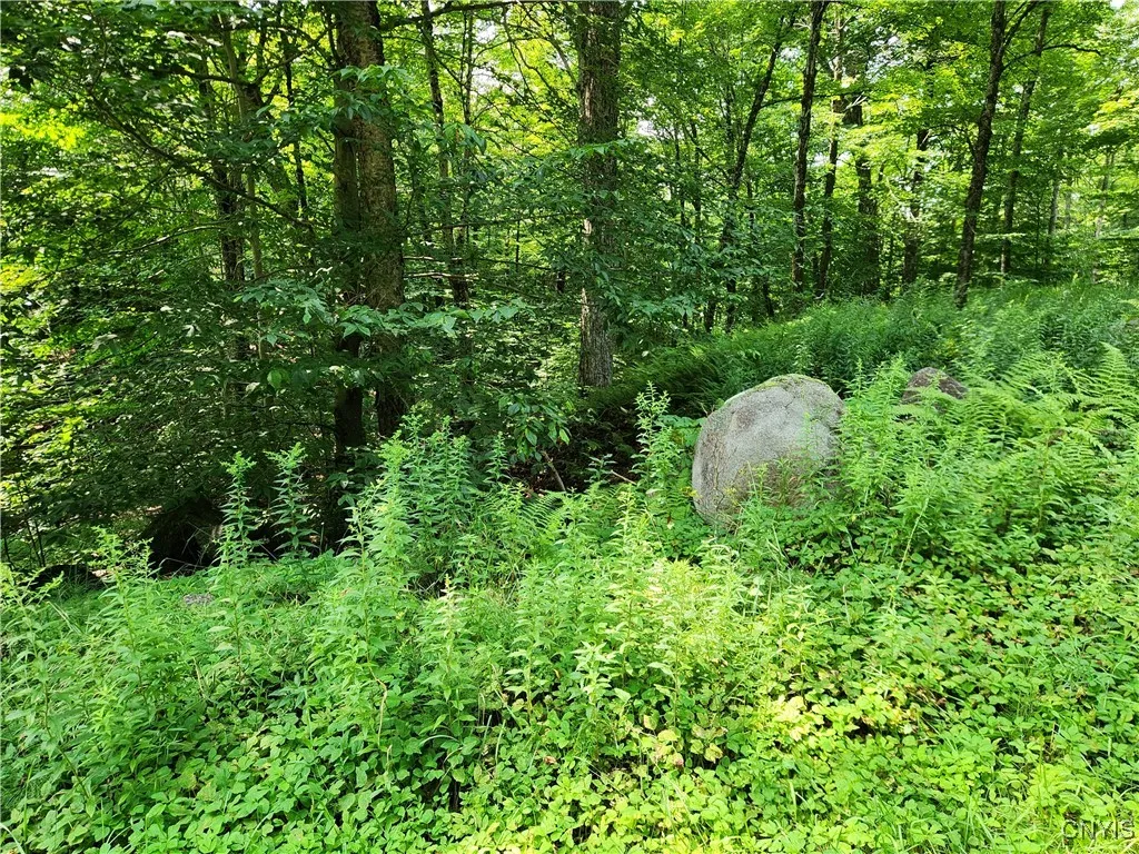 Mohawk Drive, Webb, New York 13420, Webb, New York 13420, ,Land,Closed,Mohawk Drive, Webb, New York 13420,0,S1628822