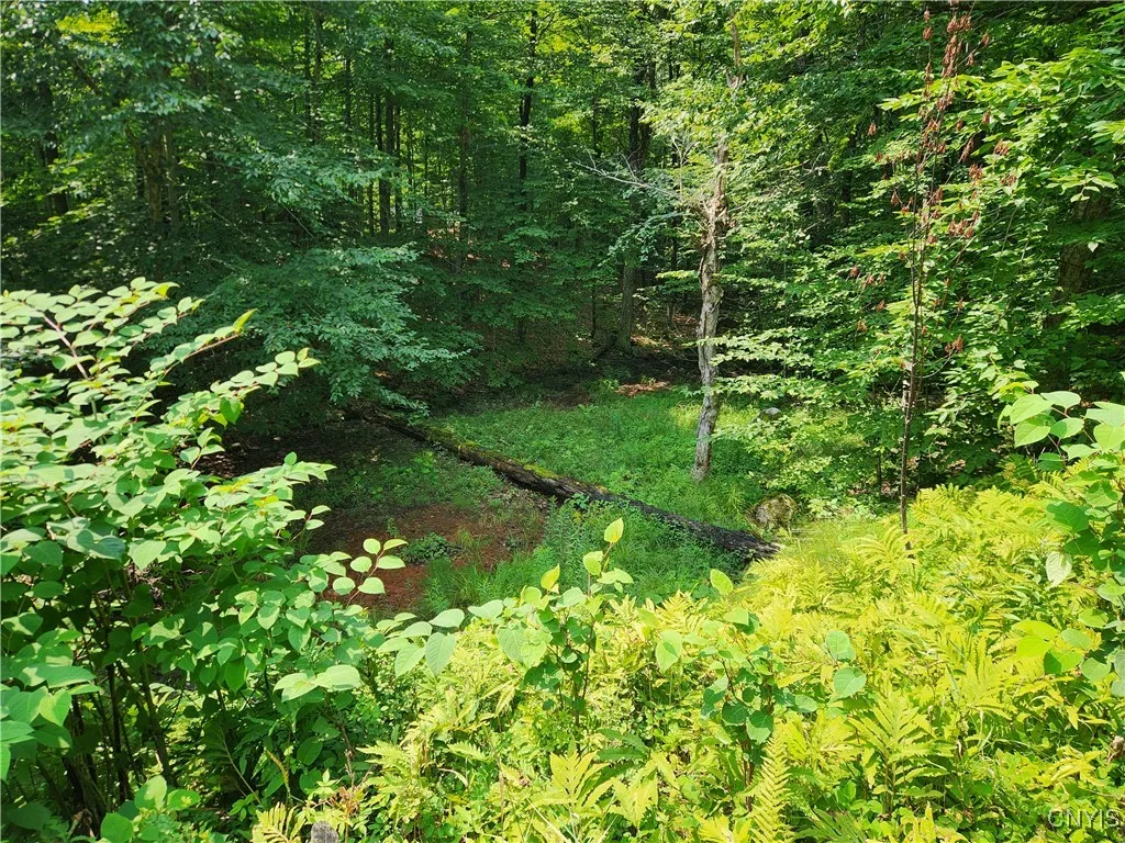 Low area of lot