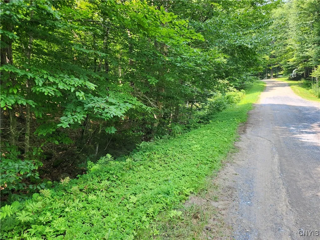 Mohawk Drive, Webb, New York 13420, Webb, New York 13420, ,Land,Closed,Mohawk Drive, Webb, New York 13420,0,S1628822