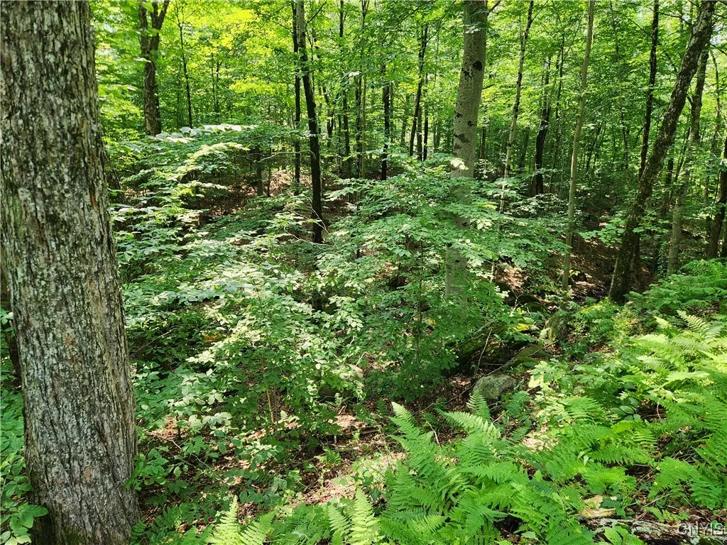 Mohawk Drive, Webb, New York 13420, Webb, New York 13420, ,Land,Closed,Mohawk Drive, Webb, New York 13420,0,S1628822