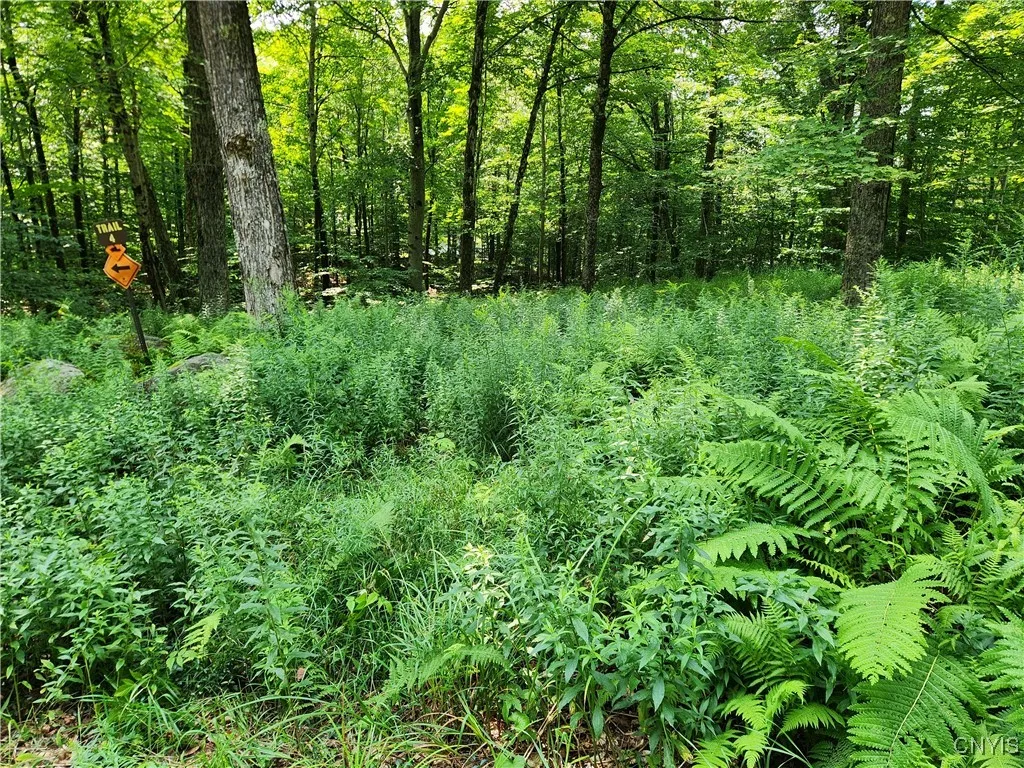 Mohawk Drive, Webb, New York 13420, Webb, New York 13420, ,Land,Closed,Mohawk Drive, Webb, New York 13420,0,S1628822