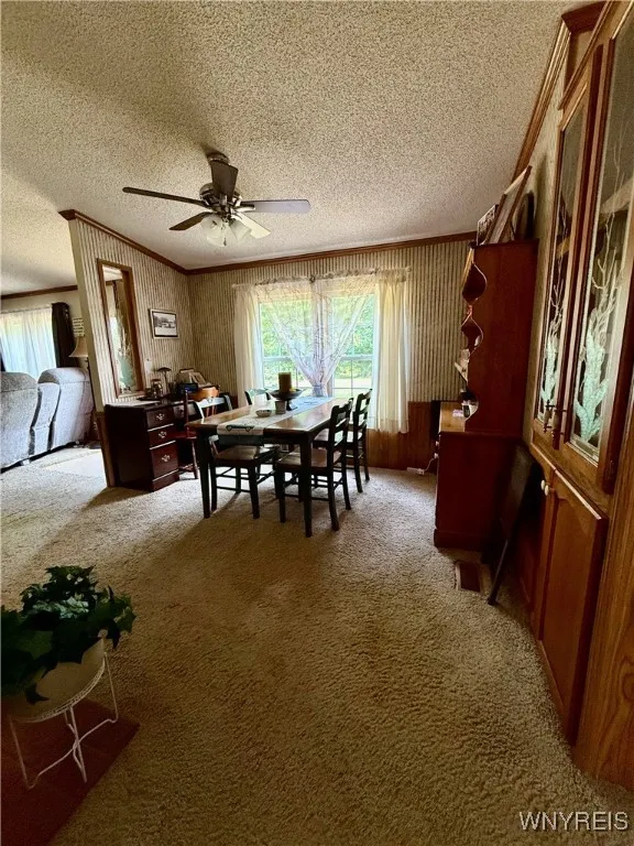 13892 Root Road, Barre, New York 14411, Barre, New York 14411, 3 Bedrooms Bedrooms, 8 Rooms Rooms,2 BathroomsBathrooms,Residential,Closed,13892 Root Road, Barre, New York 14411,0,B1629111