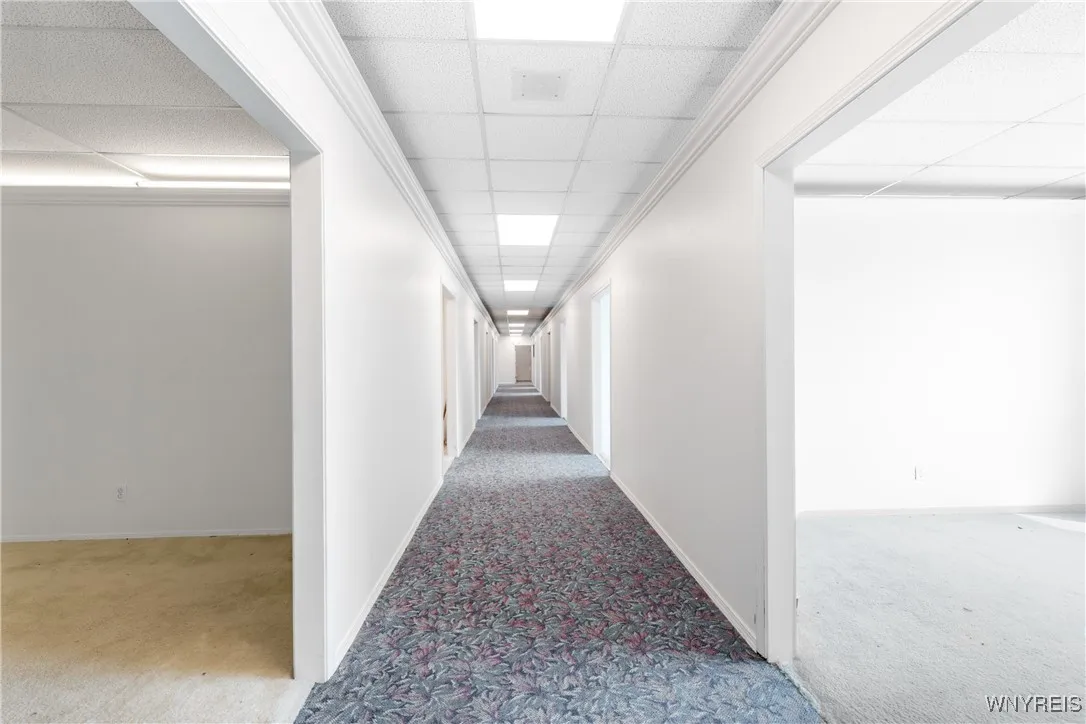 2718 Elmwood Avenue, Tonawanda, New York 14217, Tonawanda, New York 14217, ,Commercial Sale,For Sale,2718 Elmwood Avenue, Tonawanda, New York 14217,B1629170