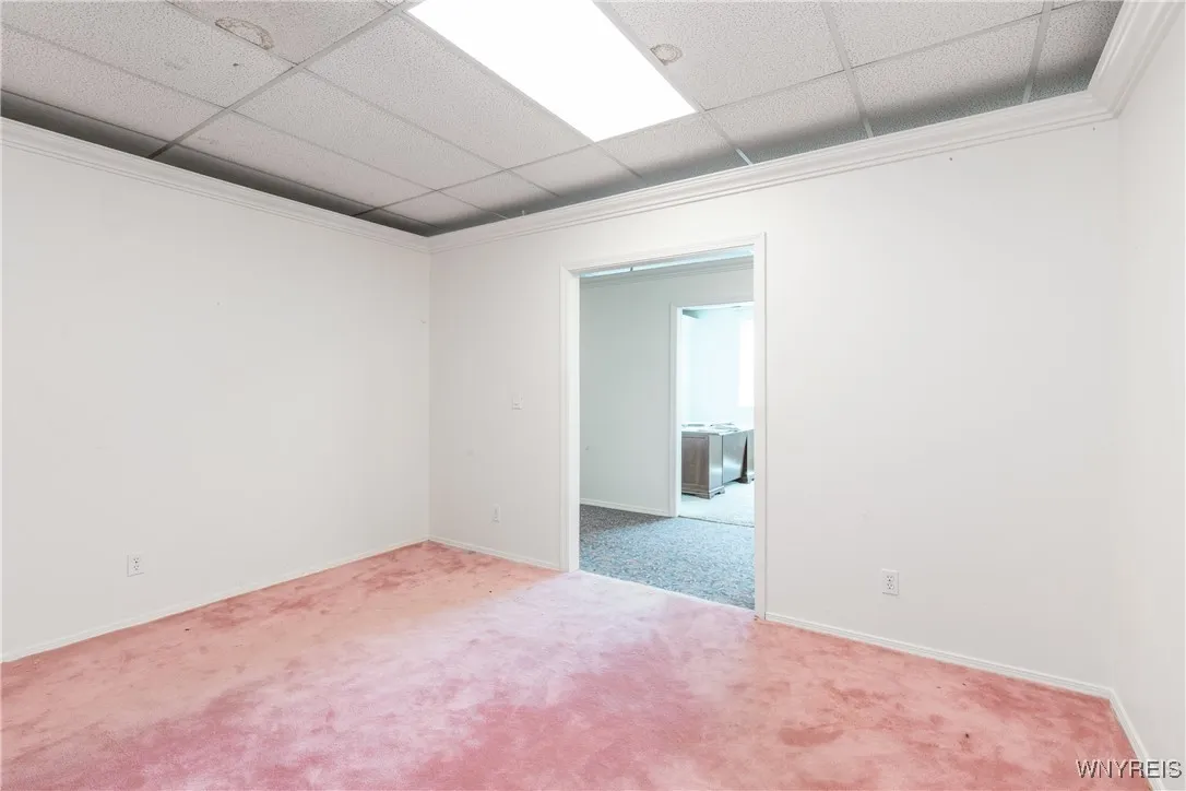 2718 Elmwood Avenue, Tonawanda, New York 14217, Tonawanda, New York 14217, ,Commercial Sale,For Sale,2718 Elmwood Avenue, Tonawanda, New York 14217,B1629170