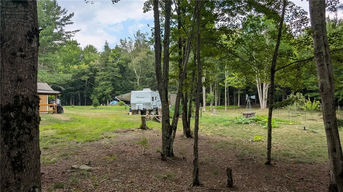 468 Wood Road, Harpersfield, New York 12093, Harpersfield, New York 12093, ,Land,For Sale,468 Wood Road, Harpersfield, New York 12093,R1629222