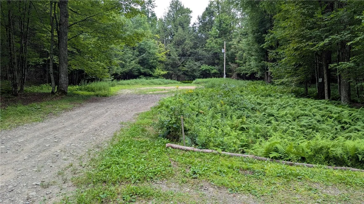 End of Wood Road . See entrance to Drive for parcel on right.