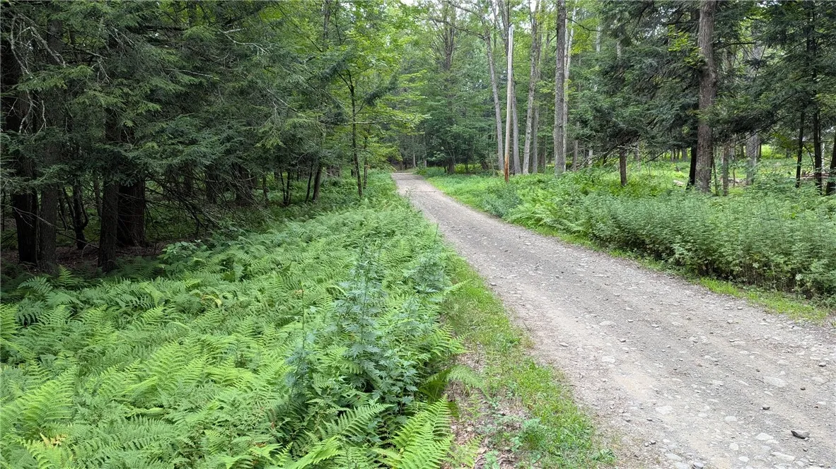View of Wood Road ahead of driveway entrance to parcel