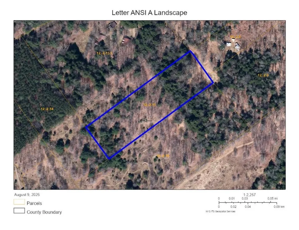 468 Wood Road, Harpersfield, New York 12093, Harpersfield, New York 12093, ,Land,For Sale,468 Wood Road, Harpersfield, New York 12093,R1629222